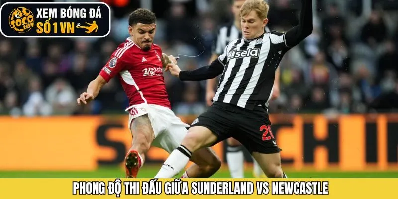 Đánh giá phong độ của Sunderland vs Newcastle