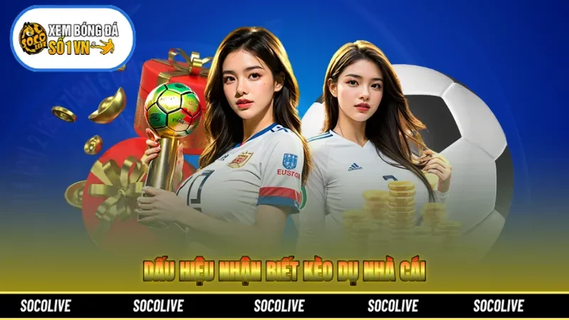 Dấu hiệu nhận biết kèo dụ nhà cái