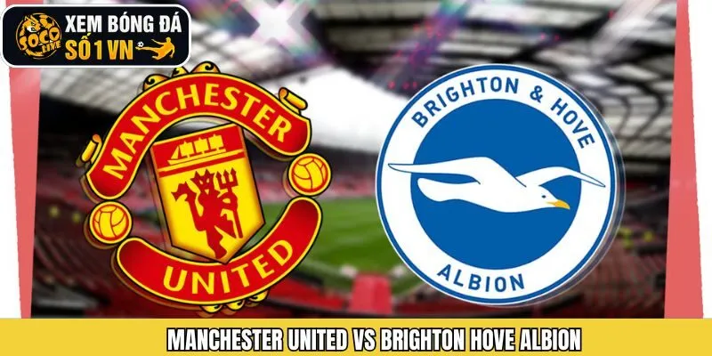 Nhận Định Manchester United Vs Brighton Hove Albion 11/1 Từ Socolive